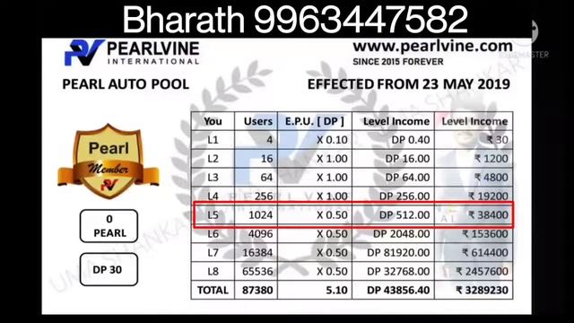 Pearl Auto Pool 32LAC Income Explain in Telugu 30USD How it's come in money pearlvine internationa смотреть онлайн