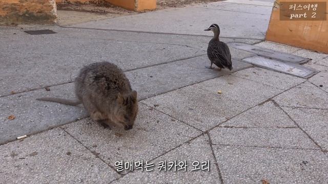 Рецепты из детства