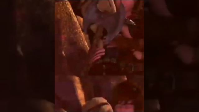 Иккинг и Астрид