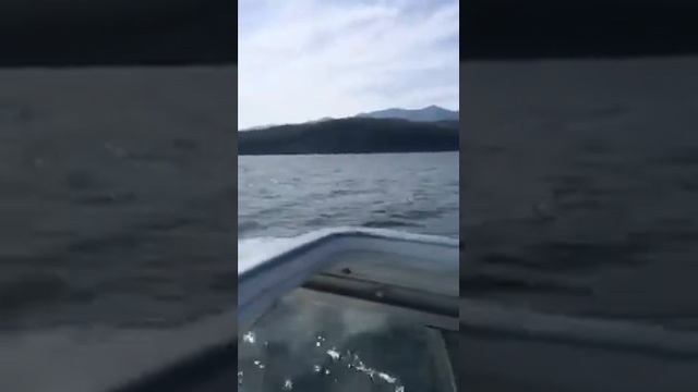 Байкал смотреть онлайн