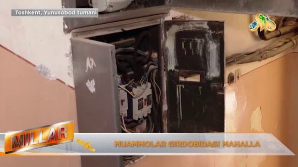 MUAMMOLAR GIRDOBIDAGI MAHALLA