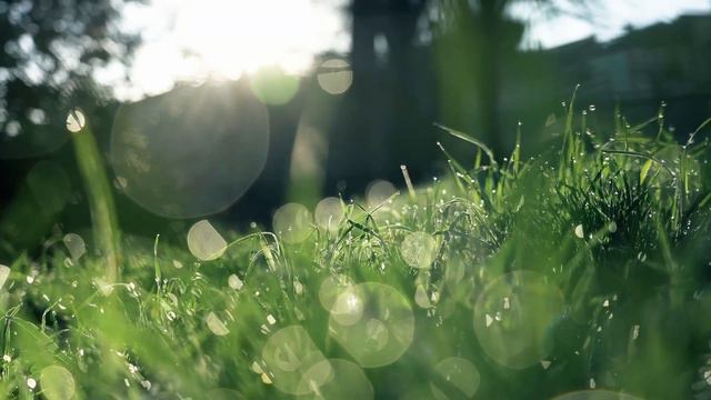 Relax music | music for sleep | music for meditation | музыка для сна | красивая мелодия на пианино смотреть онлайн