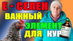 1. Е-СЕЛЕН  важный элемент для кур. 2. ЛА СОТА вакцина для кур.