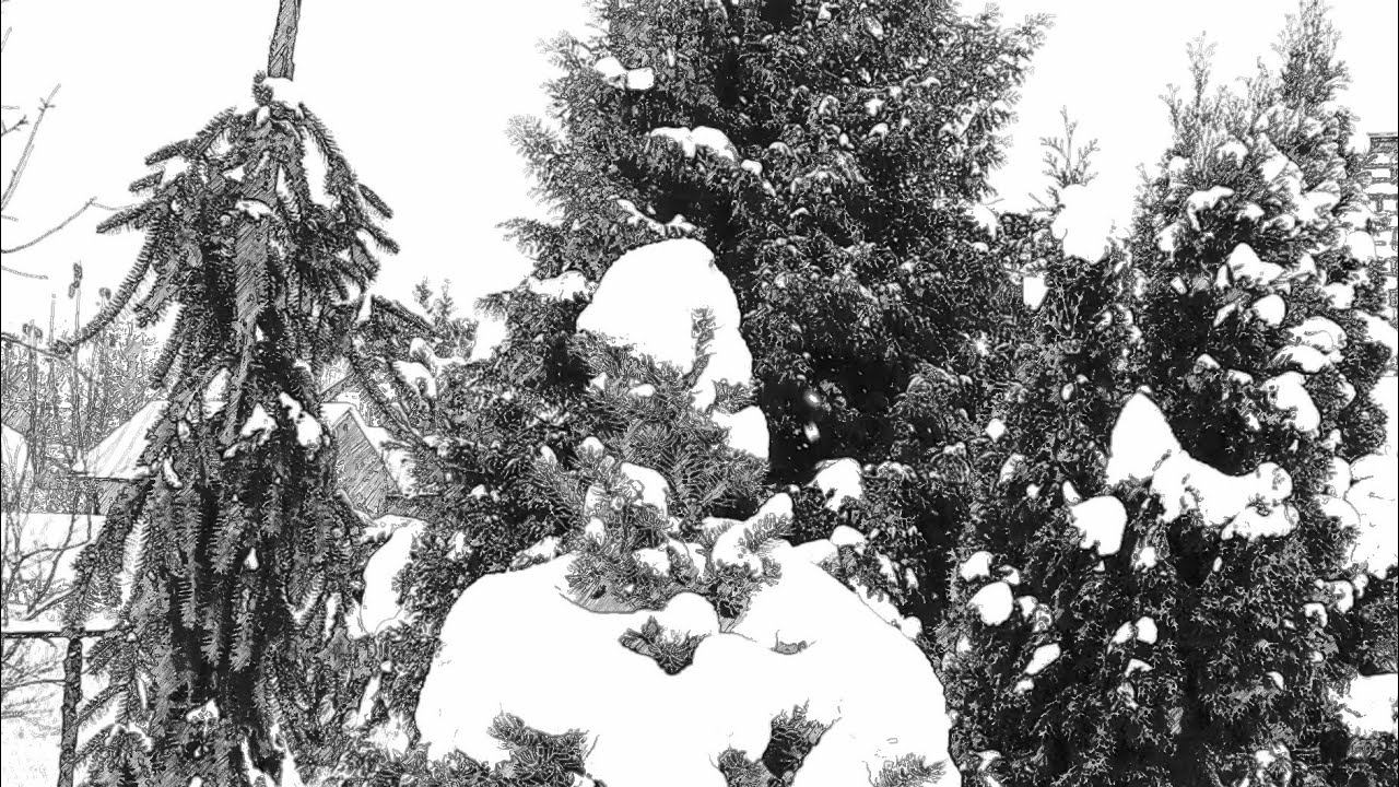 В зимней сказке, когда белым — бело!❄️☃️ Мой сад зимой 2 декабря 2023г️ смотреть онлайн