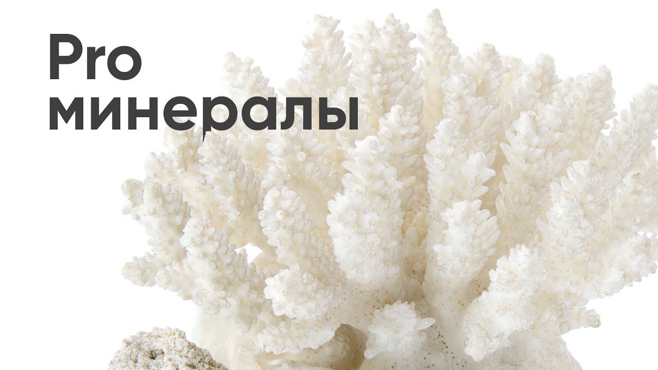 Прямой эфир «PRO минералы» смотреть онлайн