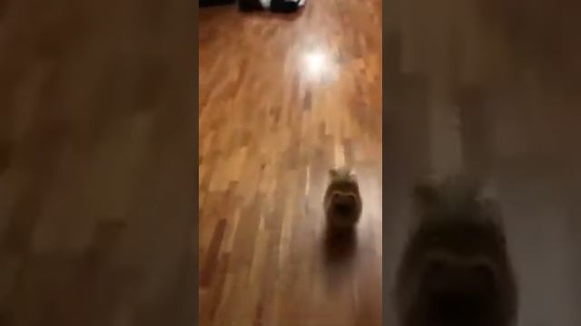 Александр Липовой (@aleksandrlipovoy) • Instagram смотреть онлайн