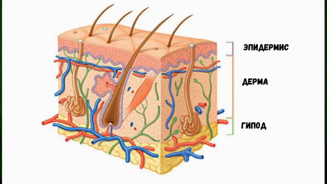 В поисках черного пигмента смотреть онлайн