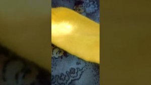 Кардиган спицами для девочек  от 3-4 лет