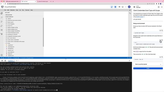 Implementing the client credentials grant type and limit access using OAuth 2.0 scopes in Apigee смотреть онлайн