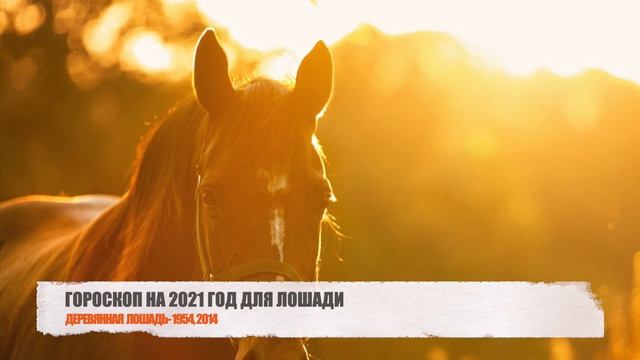 ЧТО ЖДЕТ ЛОШАДЬ В 2021 ГОД БЫКА - ГОРОСКОП НА 2021 ГОД ПО ГОДУ РОЖДЕНИЯ смотреть онлайн