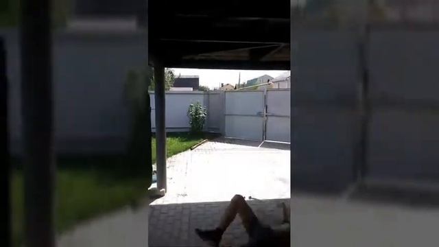 NEW 5 GUM смотреть онлайн