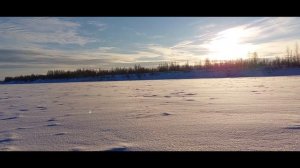 Рыбалка на удочки 01.12.2022