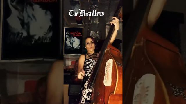 Demonica Does: The Distillers | Sick Of It All on Upright Bass смотреть онлайн
