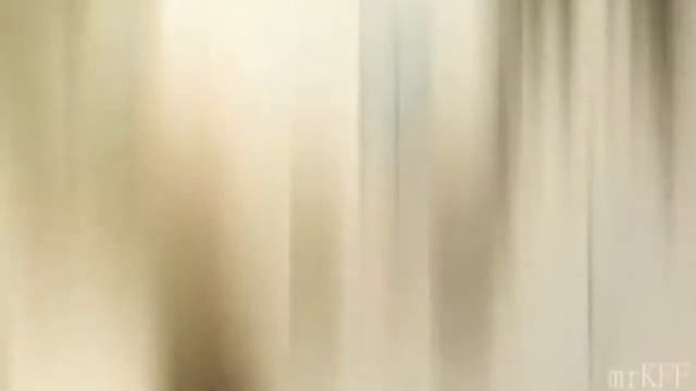 Коты воители-Скрипка смотреть онлайн