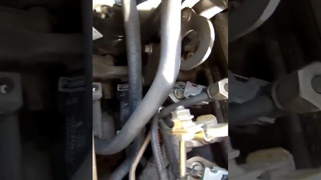 Ford Focus 2004 1.8L Duratorq(100 л.с.||75PS) TDCi (топливная Delphi)