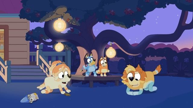 Bluey Season 2 Full Episodes | Bluey