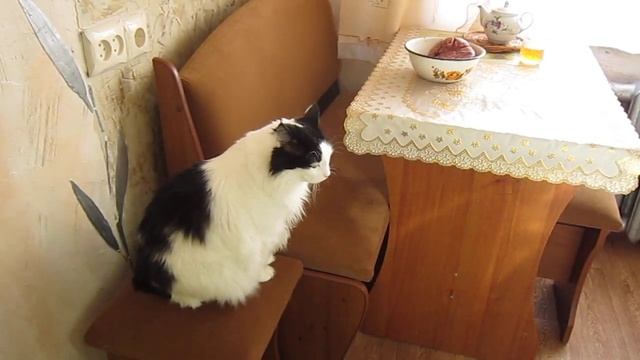 ВОТ ЭТО ВЫДЕРЖКА!!!