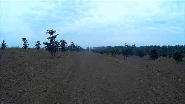 Фунгицидная обработка в саду смотреть онлайн