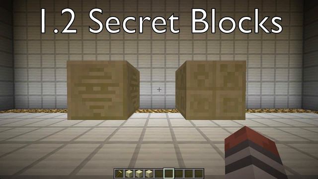 SECRET BLOCKS in Minecraft 1.2! FIRST LOOK! HOW TO OBTAIN! HIEROGLYPHS! смотреть онлайн