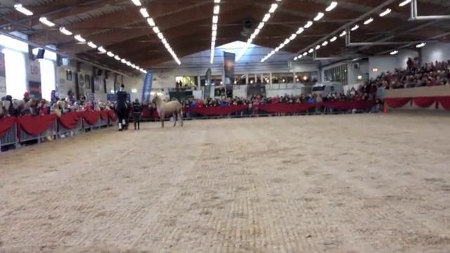 Tobbe Larsson смотреть онлайн