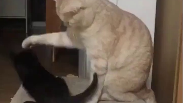 воспитание подрастающего поколения) смотреть онлайн