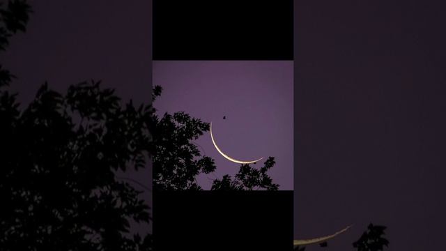 KhaliF - Девочка топила лед #slowed #music смотреть онлайн