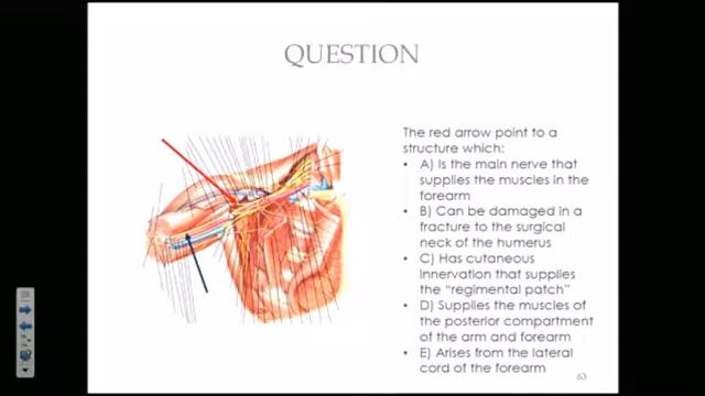 Year 2 Revision Lecture - Upper Limb смотреть онлайн