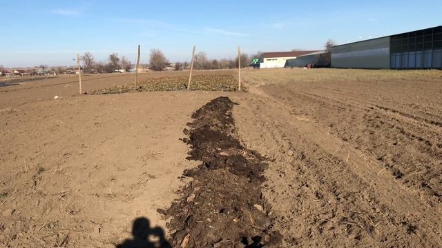 110/20 Участок под малину. Вопросы к подписчикам. смотреть онлайн