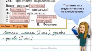 Склонение имён существительных во множественном числе.Урок русского языка. 4 класс.