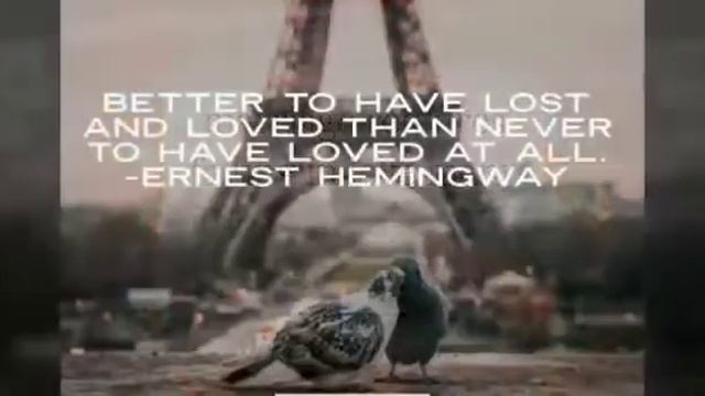 seniorita violon song with quotes about love смотреть онлайн