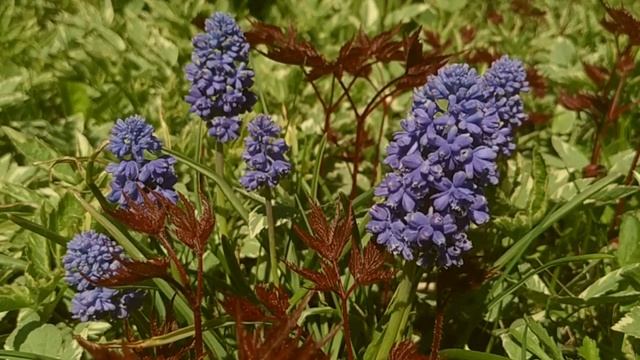 ASMR / АСМР болталка тихим голосом/ О моем канале / АСМР для сна и расслабления /