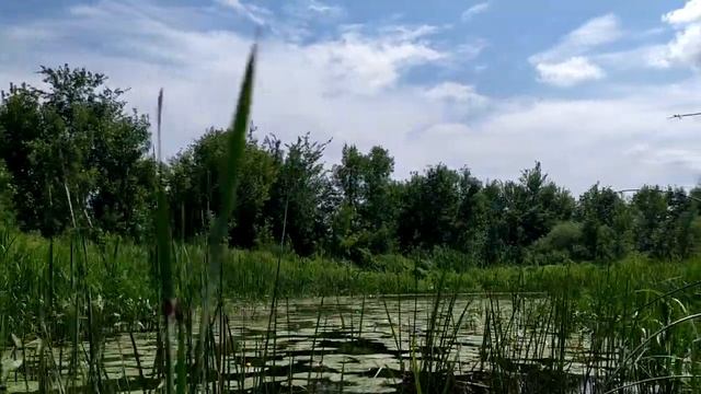 Сплав - река Ворона - 147км - 8-й день смотреть онлайн