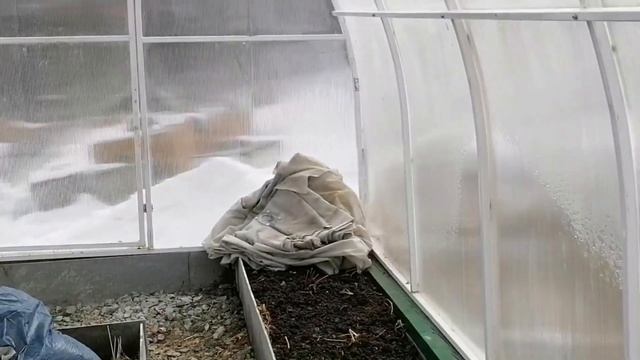 ПЕРВЫЙ ДЕНЬ НА ДАЧЕ | ГОТОВЛЮ ТЕПЛИЦУ К ПОСЕВЫ РЕДИСКИ смотреть онлайн