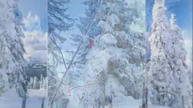 Снежное царство зимнего леса. смотреть онлайн