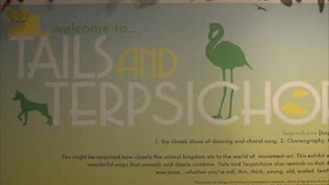 In the Dance Museum В американском Музее Танца смотреть онлайн