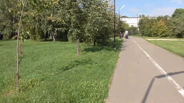 Инспектируем водно-спасательные посты ВОСВОД совместно с ГИМС и ГОЧС Богородского городского округа смотреть онлайн