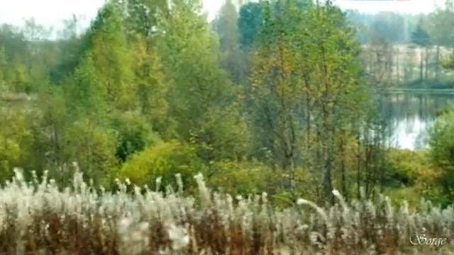 Андрей ТАЙ ~ Ты Cудьба Моя смотреть онлайн