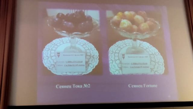 Конференция Абрикос2.Доклад от Крымской опытной селекционной станции о новых гибридах слив Китайско смотреть онлайн