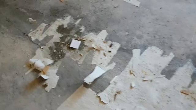 Удаление (Нейтрализация) трупного запаха смотреть онлайн