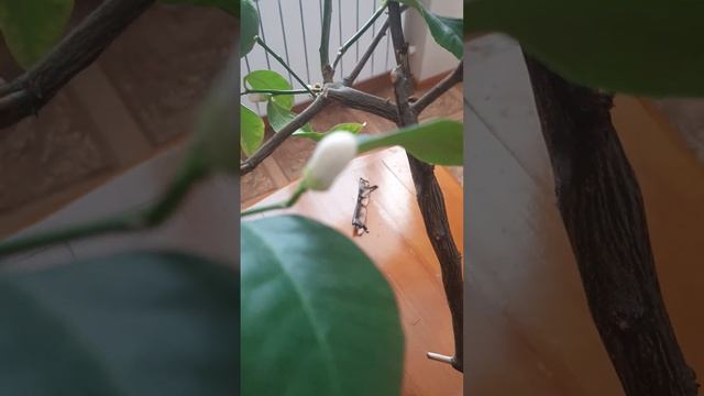 21 февраля 2024 г. смотреть онлайн