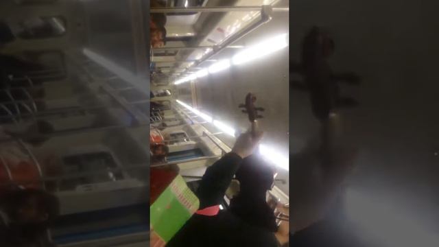 Мужик играет на скрипке в метро смотреть онлайн