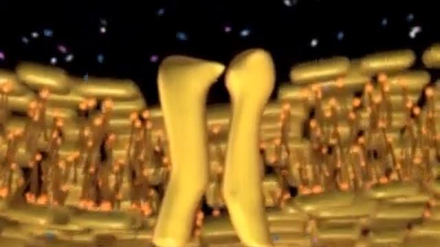 Model Of The Ion Channel Of The Cell смотреть онлайн