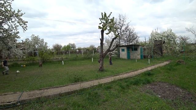 Купили вилы копаем огород. Подарок от АРТИСТОВ распаковка посылки. смотреть онлайн