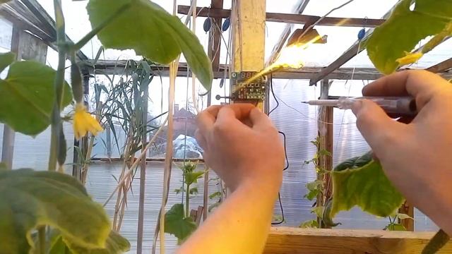 Мастер Дома