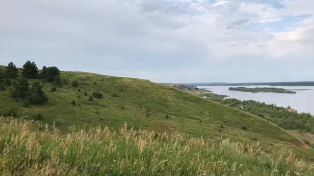 Про мёд с луговых трав Прикамских холмов Пасеки Юньга смотреть онлайн