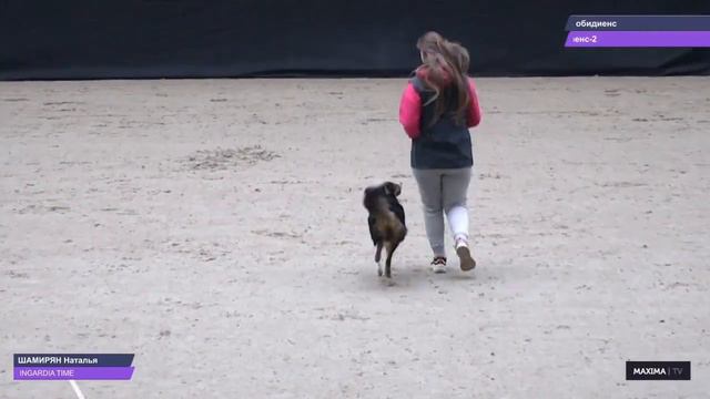 Обидиенс-2, бордер колли Рейвен, испытания Maxima Park 12 марта 2023 г. смотреть онлайн