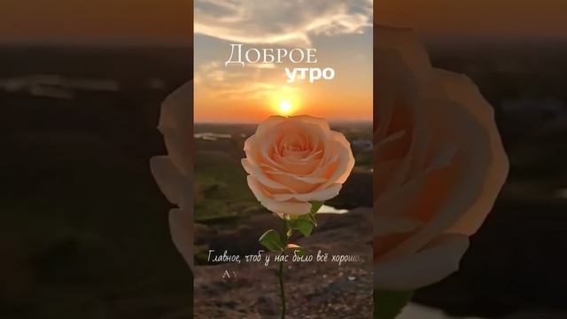 самая нежная и красивая открытка с пожеланиями