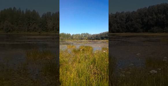 Озеро в Бельмесёво. Алтайский край смотреть онлайн