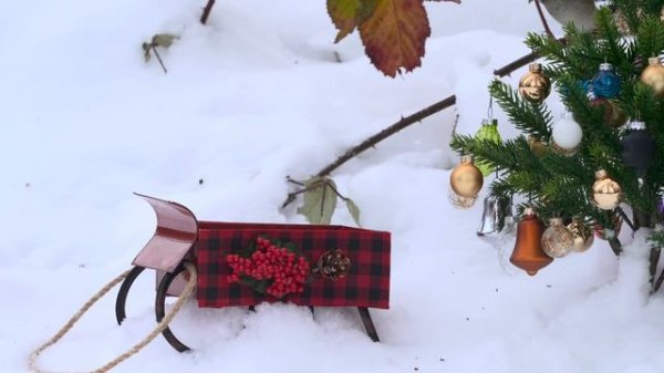 Cat TV for Cats to Watch 😻 Squirrel Sings.Birds in Christmas Wonderland 🐿️ 8 Hours 4K HDR