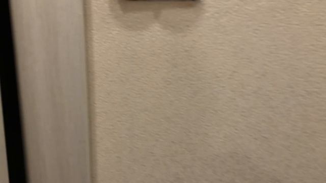 Сдается однокомнатная квартира. Ветеранов 93. СПБ смотреть онлайн